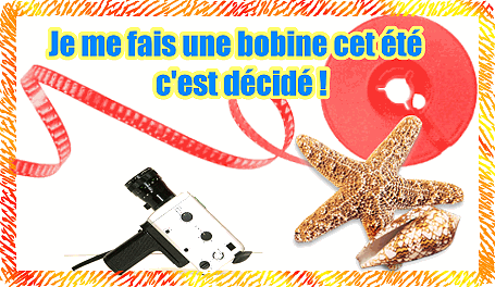 Je me fais une bobine Super 8 cet été, c'est décidé ! et vous, vous avez décidé quoi?
